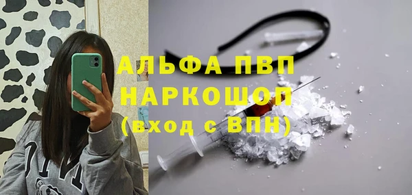 гидра Белокуриха