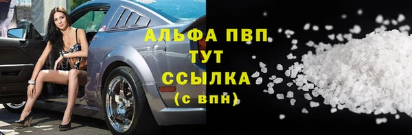 гидра Белокуриха