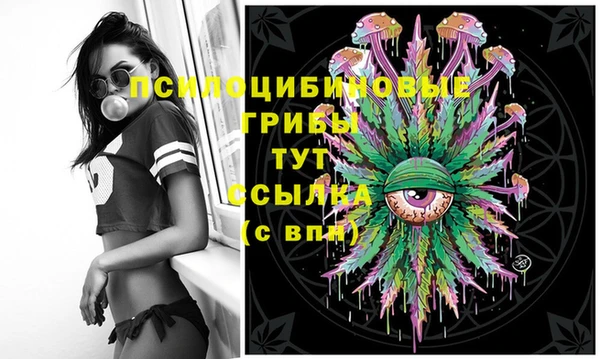 гидра Белокуриха