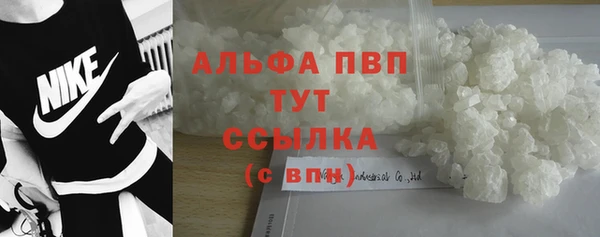 гидра Белокуриха