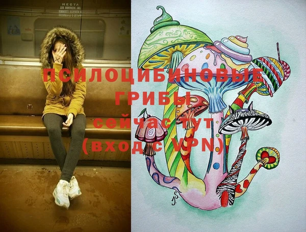 синтетический гашиш Беломорск