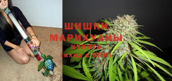 ГАЛЛЮЦИНОГЕННЫЕ ГРИБЫ Белоозёрский