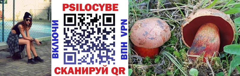Псилоцибиновые грибы прущие грибы  Купить закладки  Лодейное Поле 